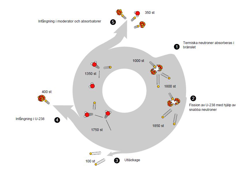 Neutroncykeln Fission ger 2-4 neutroner 1,0000 av dessa ska ge ny fission Resten ska förloras Multiplikationsfaktorn, k, är antalet neutroner från en fission som ger ny fission k beror på 1.