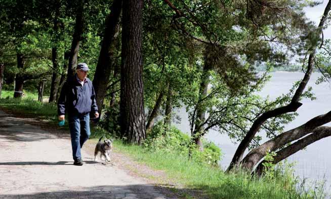 2011-05-12 fakta om ekologiska samband och förekomster av skyddsvärda arter.