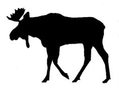 Älg ord bild form ild 2. Studier av samspel mellan ord, bild och form är centrala inom informationsdesign. Observera att orden kan vara talade eller skrivna/tryckta. (Pettersson, 2002, s. 32).
