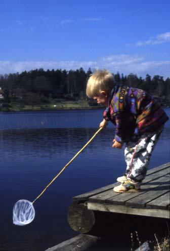 Också områden på lite större avstånd från bebyggelsen är viktiga, men då mera som utflyktsområden dit man är beredd att resa en viss tid.