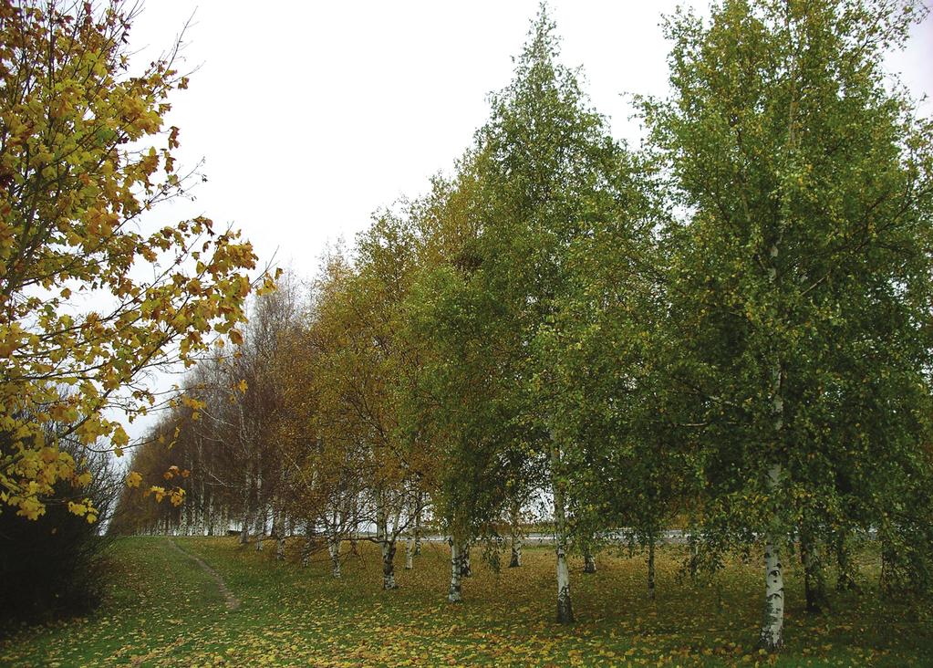 Tolka naturen Hur kan organismer i närmiljön ge en uppfattning om hur evolutionen har gått till? 1. Välj representanter för huvudgrupper av organismer och studera deras anpassning till miljön.