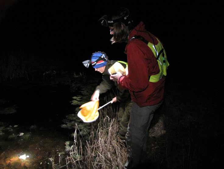 8 Inventering av större vattensalamander Triturus cristatus i Kalmar län 2009