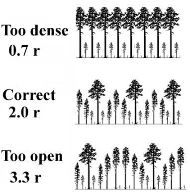 After this, the process continues by the identification of the next dominant (C9) that is at least d away from the previous dominant. Figure 4c.