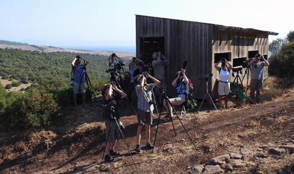 Väl framme i Tarifa tog vi ett span vid ett av rovfågelobservationsplatserna, Cazella - tunt med rovisar men klockan var mkt samt hård vind, dock fantastisk utsikt över Gibraltarsundet med afrikanska