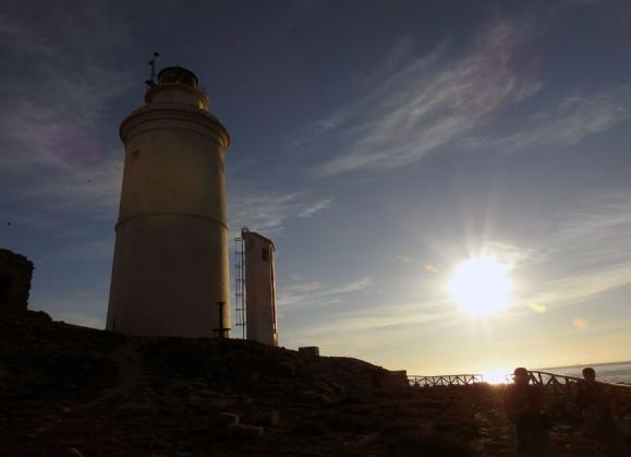 de/scopoliliror svepte strax utanför, likaså 21 baleariska liror och även 2 havssulor samt 1 storlabb. En småspov på stranden, en härfågel flög förbi och 2 fältpiplärkor sträckte ut.