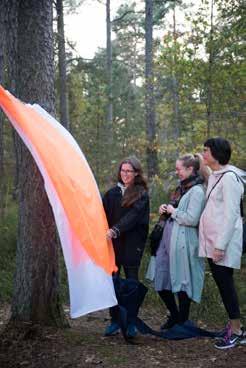 Det professionella kulturlivet, det civila samhället, länets kommuner, Region Kronoberg och omgivande län ansvarar