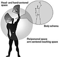 17-04- 18 Visuomotoriska transformationer Områden runt Sulcus intraparietalis The parietal eye ﬁelds (PEF) Visuell guidning av ögats saccad rörelser.