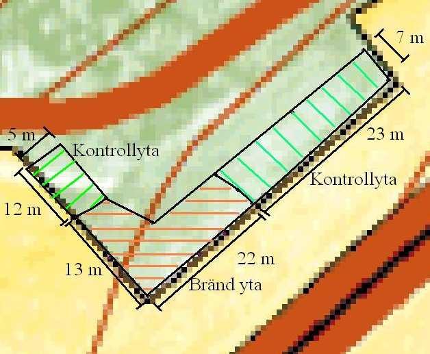 Figur 9c: Diagrammet visar förekomsten (Fi, se under rubriken metod för beräkning) för alla inventerade arter