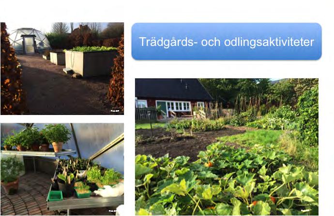 Trädgårds- och odlingsaktiviteter följer årstid och trädgårdens behov. Det finns många sysslor året om kopplat till trädgårdsskötsel och odling.