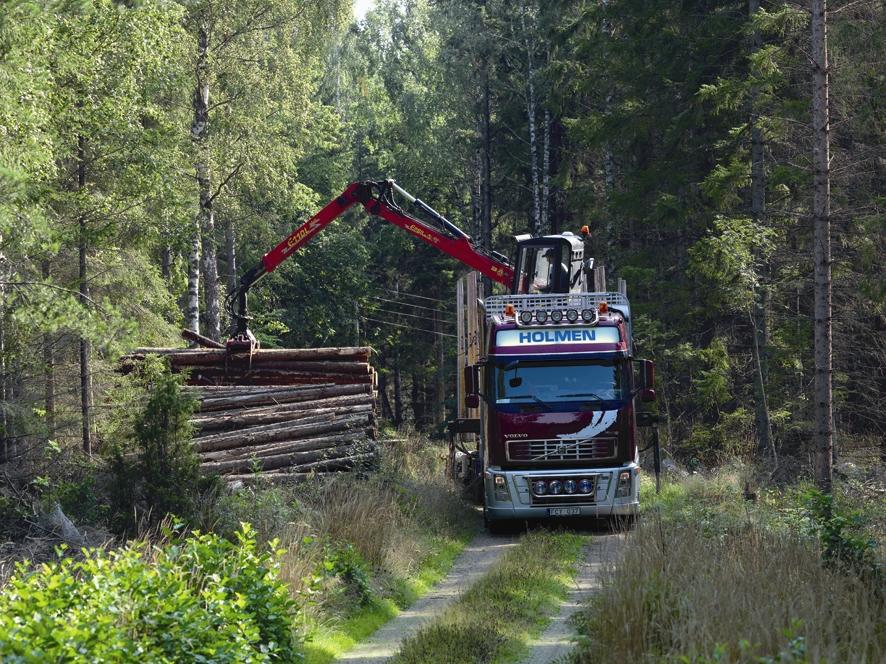 18 /2009-03-24 Virkeskostnaderna är tillsammans med elenergin våra industriers största kostnadspost och där har priserna under året 2008 fortsatt öka.