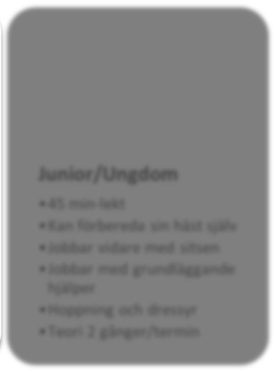 Ridskolans verksamhet ska hålla högt ställda krav på god hästhållning, hög säkerhet och arbeta med utbildad och erfaren personal samt lägga en