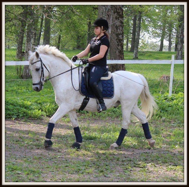 min-lektion Kan förbereda sin häst till ridning Kan rida i skritt, trav och galopp Hoppning och dressyr Teori 2 ggr/termin Dressyr - tävling Hoppning