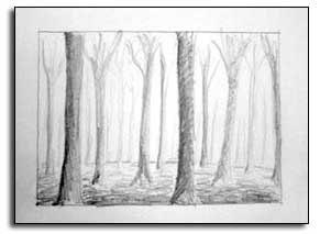 Teckna en skog ritpapper 1. Du ska göra en skog som på bilden. 2. Böra med att dra en tunn linje som markerar var skogen slutar. Den linjen ska vara ca 5 cm upp från nederkanten. 3.