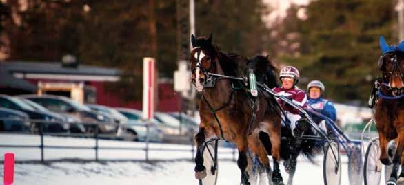 VÄLKOMMEN TILL UMÅKER FAKTA: OPEN STRETCH Nej VINKLAD STARTBILSVINGE Nej LÄNGD UPPLOPP 184 meter DAGENS HÅLLTIDER 12:00 Stallbaren öppnar 12:30 Entré och Drive In öppnar 12:30 Bistron öppnar 13:00