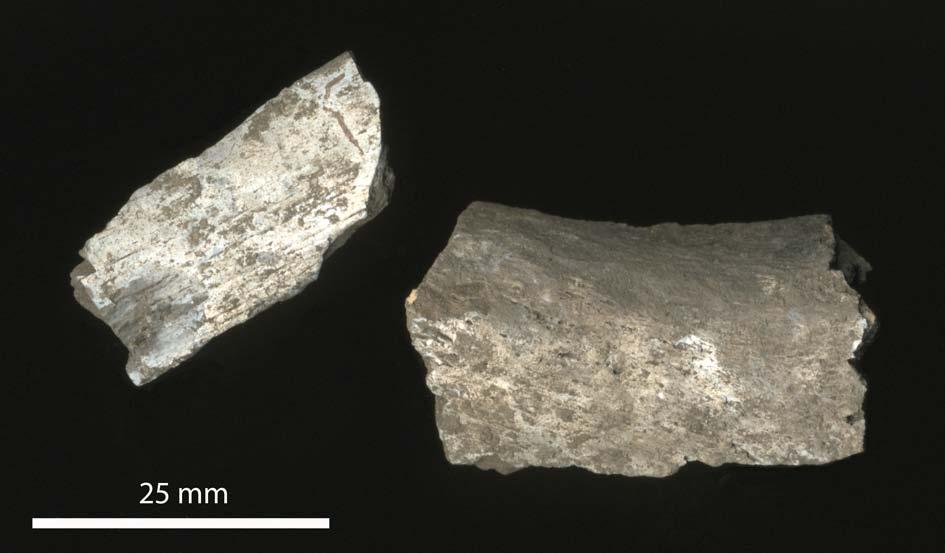 Fig. 5. Två mindre fragment av brända rörben från människa. ID:201047 Som exempel kan ges två fynd från Lager 5. ID:200594, två brända fragment av skalltak som låg på nivån 12,42 m. ö. h.