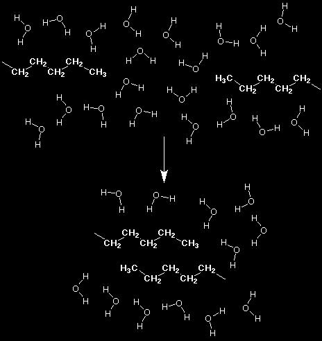 E. Van der Waals/London-Dispersion forces Instantaneous dipole-induced dipole interactions ften work in concert with the hydrophobic effect Instantaneous dipole is due to a transient nonsymmetric