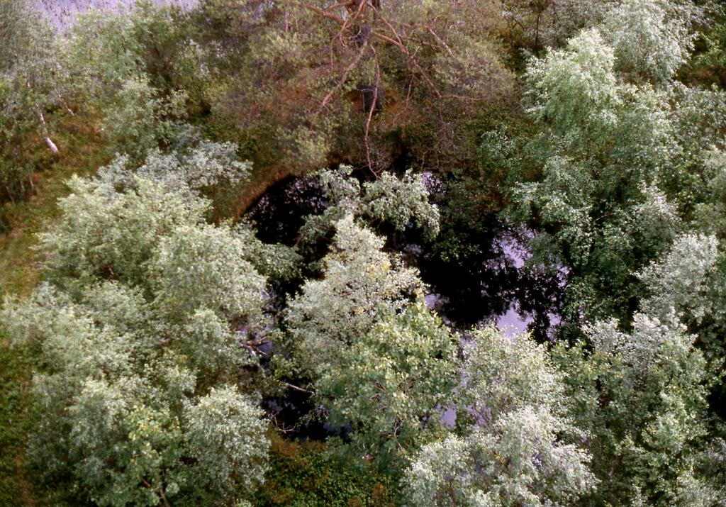 Figur 6. Gropen vid Kuttainen fotograferad från ovan. Vattenspegeln i den cirkelrunda gropen skymtar mellan björkarna.