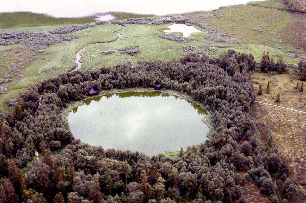 Ånn Den allra vackrast utformade och kraterliknande formationen noterades vid Ånn i västra Jämtland (fig. 13, 14).