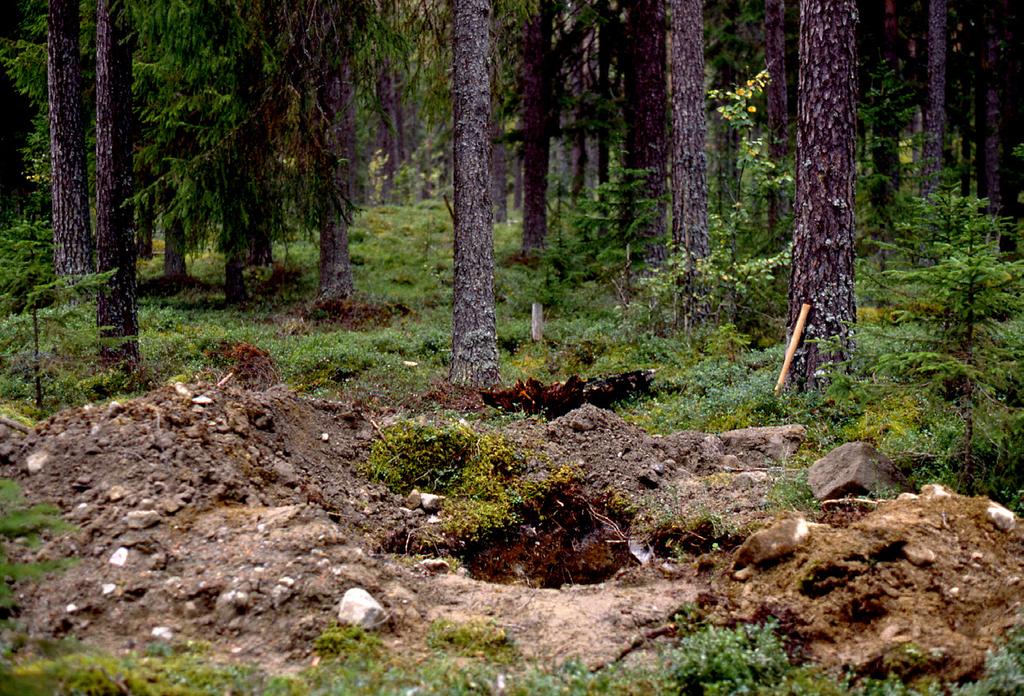 krater vallen som dragits ut av inlandsis. Foto: Robert Lagerbäck. Figur 21.