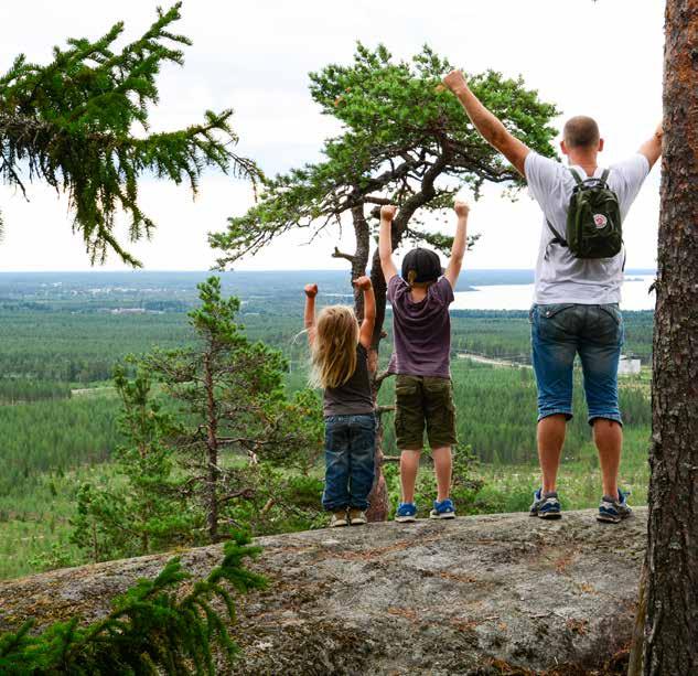 Attraktiv natur värdesätts av många Foto: Mostphotos Drygt hälften av länsborna, 45 60 procent beroende på fråge område, upplever att trafik, buller och luftkvalitet utgör ett stort eller ganska