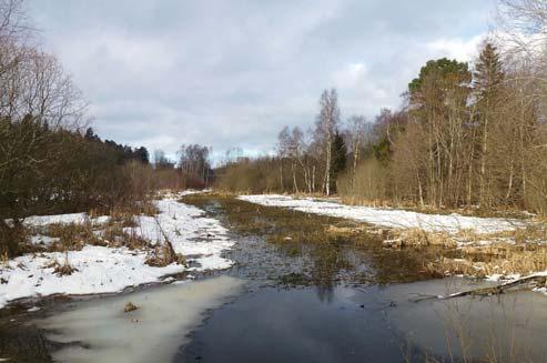 Rågsveds friområde, äve kallad Kräppladale, är ett drygt 100 hektar stort atur- och friluftsområde.
