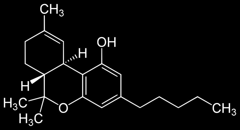 Dabbing Att röka rest-delar från cannabisplantan har blivit allt mer populärt.