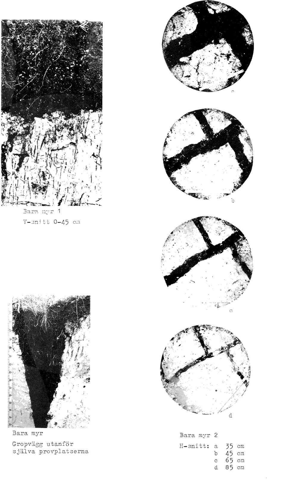 3ara f:l: r r 1 V-:mitt 0-45 ej] c Bara myr Gropvägg utanför