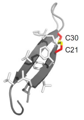 Bilden till vänster visar Alzinovas patenterade AβCC-molekyl och till höger hur den