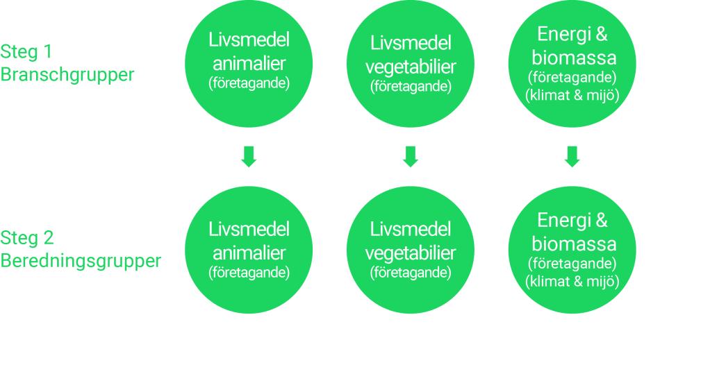 2. Anvisningar för bedömning Öppna utlysningen För varje sektor (figur 5), projektansökningar bedöms och granskas i befintligt skick av branschgrupper (steg 1) och beredningsgrupper (steg 2) Figur 5