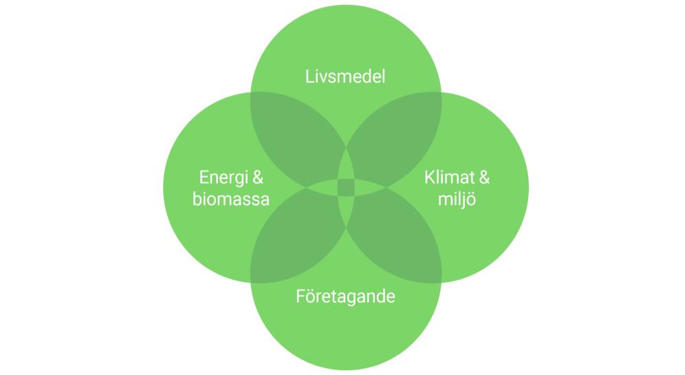 Fokusområden Stiftelsen Lantbruksforskning ska finansiera forskning som leder till konkret nytta, ökad tillväxt och konkurrenskraft för Sveriges lantbrukare.