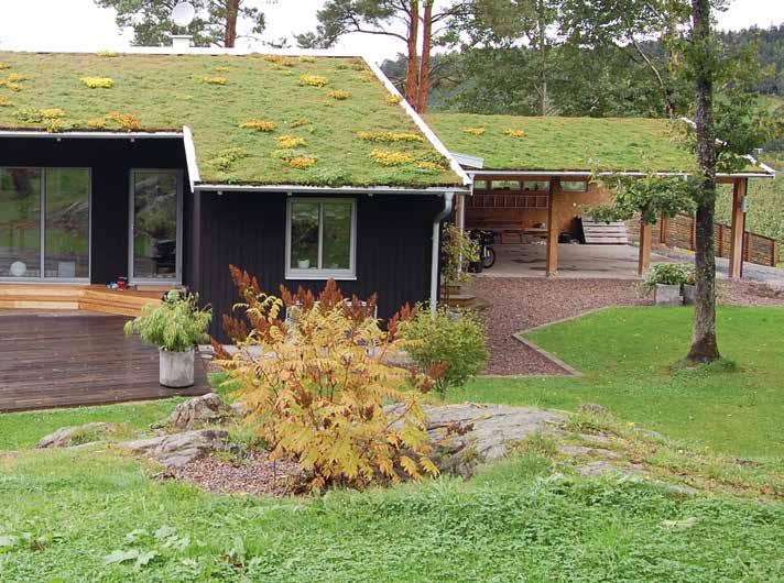 Gröna tak och väggar. Genom att anlägga gröna tak på byggnader kan du minska den totala mängden dagvatten. Förutom att det är vackert har gröna tak många fördelar.