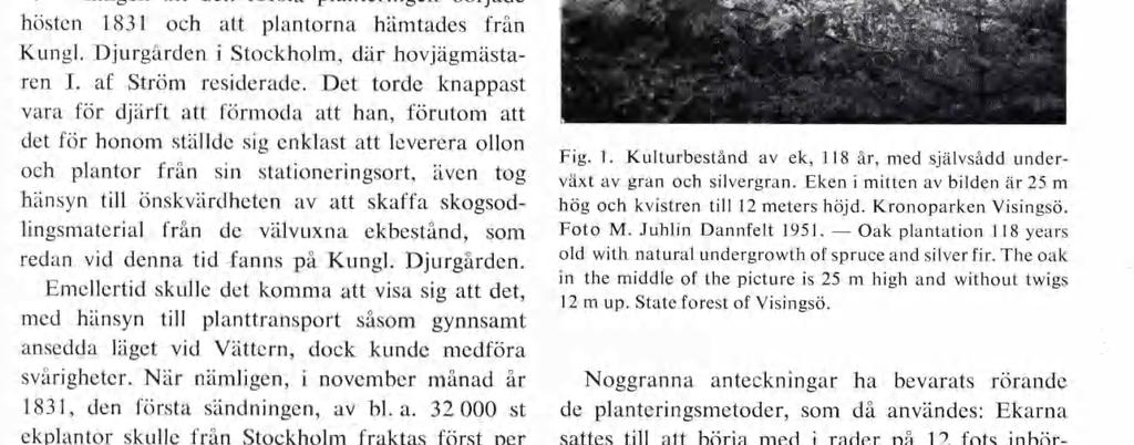 För denna plantering fick också gumman löfte att i sin lifstid behålla sin lilla täppa och koja.