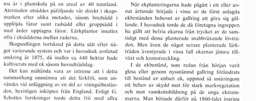 äs S3- Fig. 3. 90-årigt kulturbestånd av ek; vid 37 års ålder underplanterat med gran. Kronoparken Visingsö. Foto Ch. Carbonnier 1948. Oak planta tion 90 years old.