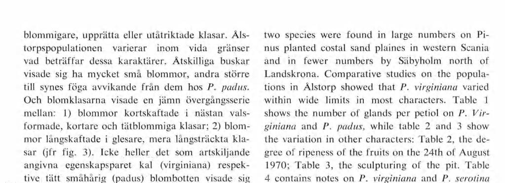 blommigare, upprätta eller utåtriktade klasar. Ålstorpspopulationcn varierar inom vida gränser vad beträffar dessa karaktärer.