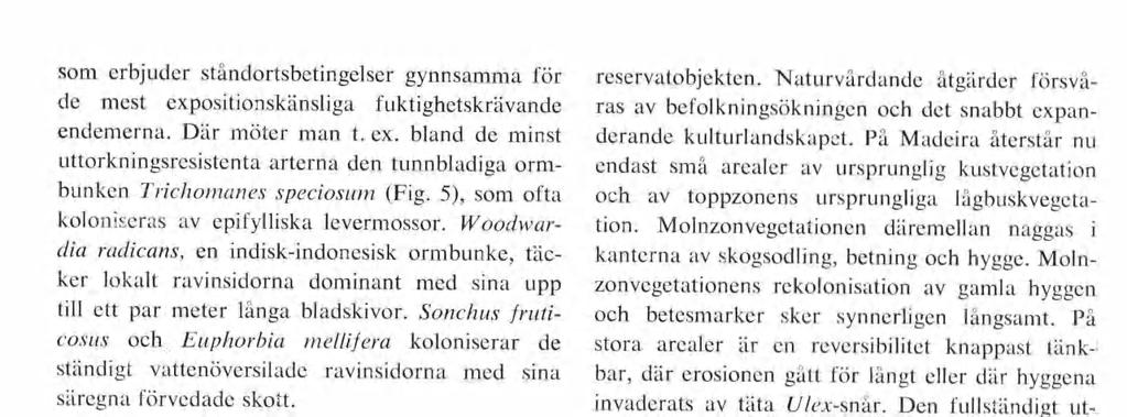 som erbjuder ståndortsbetingelser gynnsamma för de mest expositionskänsliga fuktighetskrävande endemerna. Där möter man t. ex. bland de minst uttorkningsresistenta arterna den tunnbladiga orm bunken T richomanes speciosum (Fig.