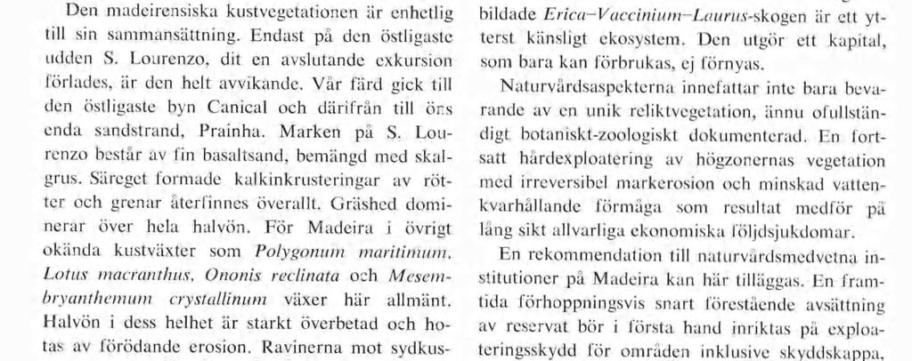 Sonchus fruticosus och Euphorbia mellifera koloniserar de ständigt vattenöversilade ravinsidorna med sina säregna förvedade skott.