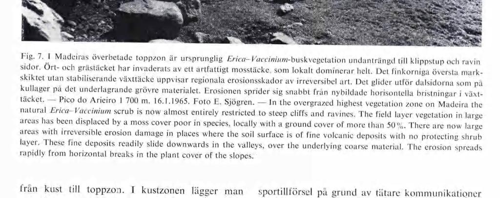 Det glider utför dalsidorna som pä kullager på det underlagrande grövre materialet. Erosionen sprider sig snabbt från nybildade horisontella bristningar i växt täcket. Pico do Arieiro 1 700 m. 16.1.1965.