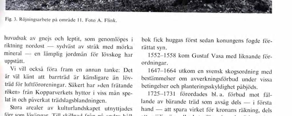 Till skillnad från på andra håll i landet accepterade man här eken i lövängen. Ekens värsta konkurrent, granen, hölls däremot efter.