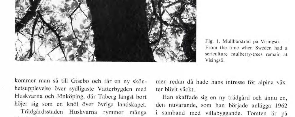 kommer man så till Gisebo och får en ny skönhetsupplevelse över sydligaste Vätterbygden med Huskvarna och Jönköping, där Taberg längst bort höjer sig som en knöl över övriga landskapet.