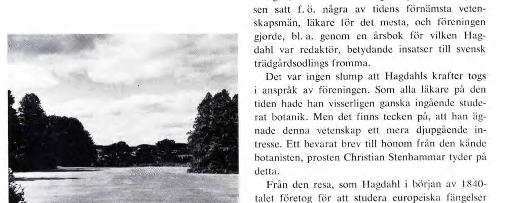 f; y*. * v«--.* i trr'el Fig. 3. Från Sannarps gårdsplan. Avstånd och volymer påminner om vissa engelska landskapsparkers. Den av rundade, bortre trädsamlingen t. v. på bilden är den del av lindallén, som skonades av stormen.