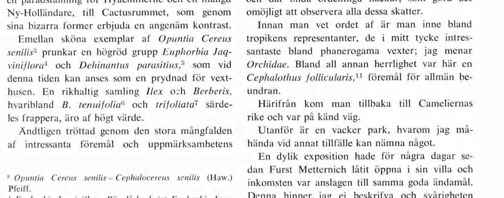 sor. En skön sal hvars väggar smyckas af herrliga blomster, plantor, vaser och korgar samt i midten en ställning, som frapperar såväl för den fanta stiska stukningen som den smakfulla gruppe ringen.