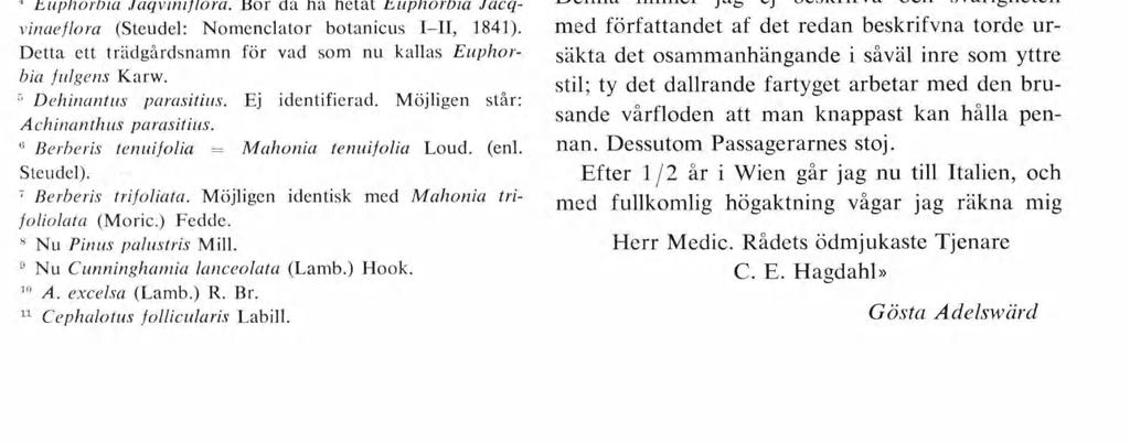 jettestånd. Gången förcr förbi en paradställning för Hyacintherne och en mängd Ny-Holländare, till Cactusrummet, som genom sina bizarra former erbjuda en angenäm kontrast.