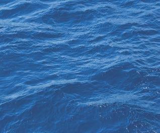 fakta om giftiga båtfärger Organiska tennföreningar, som tributyltenn, TBT, är ämnen som har använts i båtbottenfärger sedan 60-talet.