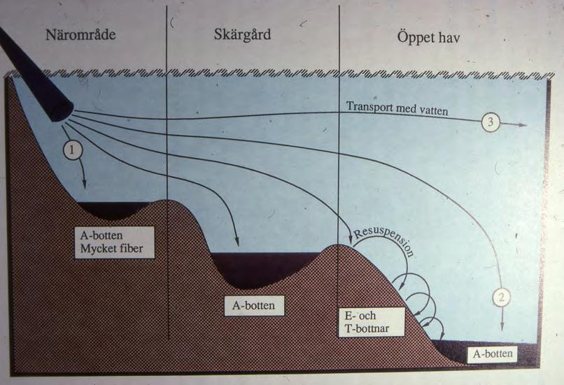 4 Figur 2 Principskiss för hur föroreningar sprids från en punktkälla (Från Södergren et al., 1991).