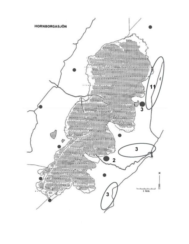 Flodsångare Locustella fluviatilis, antalet 