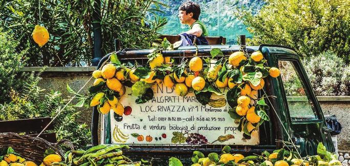 BUCURESTI - PORTILE DE FIER - BELGRAD (cca. 595 km) Plecare din Bucuresti, la ora 6.00, din parcarea Gara de Nord de pe Calea Grivitei (langa Muzeul CFR) spre Drobeta- Turnu Severin.
