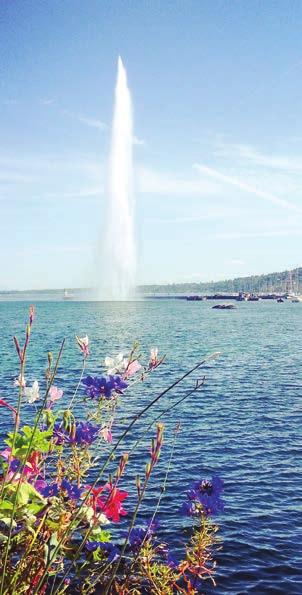 cu autocar climatizat, clasificat pentru trafic international - 5 cazari cu mic dejun in hoteluri 3* (exceptie 2*). - Vizite la Milano, Aosta, Annecy, Geneva, Montreux, Berna, Zurich, St.