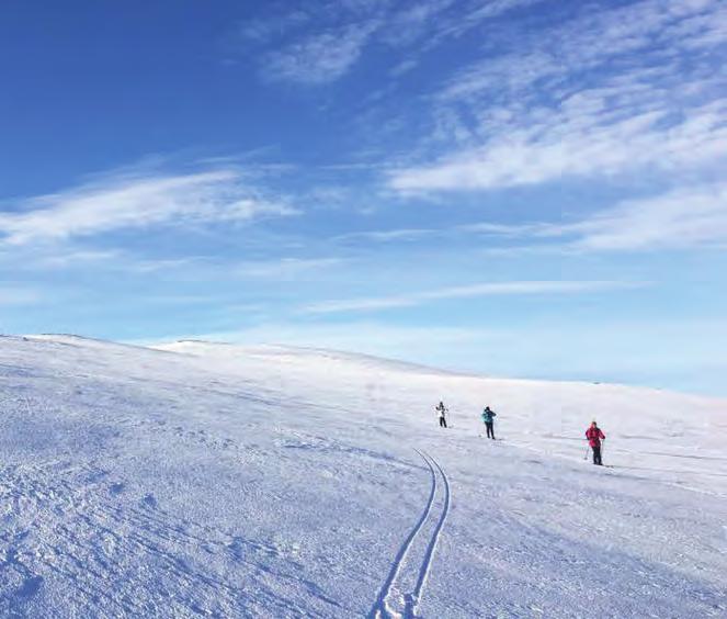 se/fjallnas-explore/ MÄKLARE I FUNÄSFJÄLLEN Varmt välkommen att kontakta mig så hjälper jag dig att förmedla ditt fjällboende!