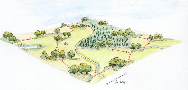 Praktisk samverkan kring restaurering och skötsel av hagmarker,