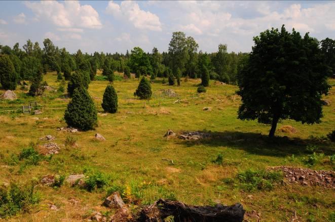 1 0 0 5 10 15 20 25 30 35 40 Area (%) Sannolikhet för förekomst av